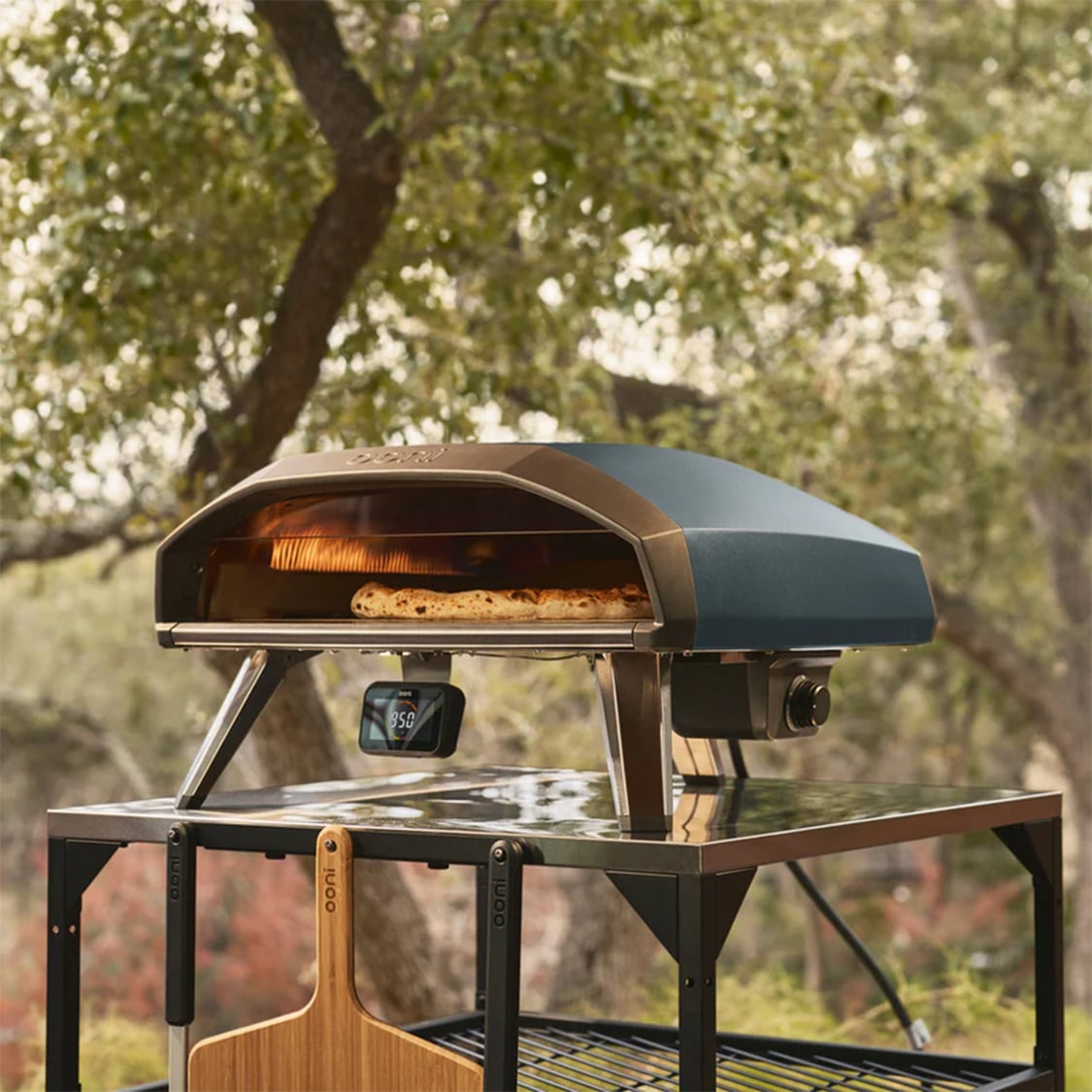 BBQ & Ovens