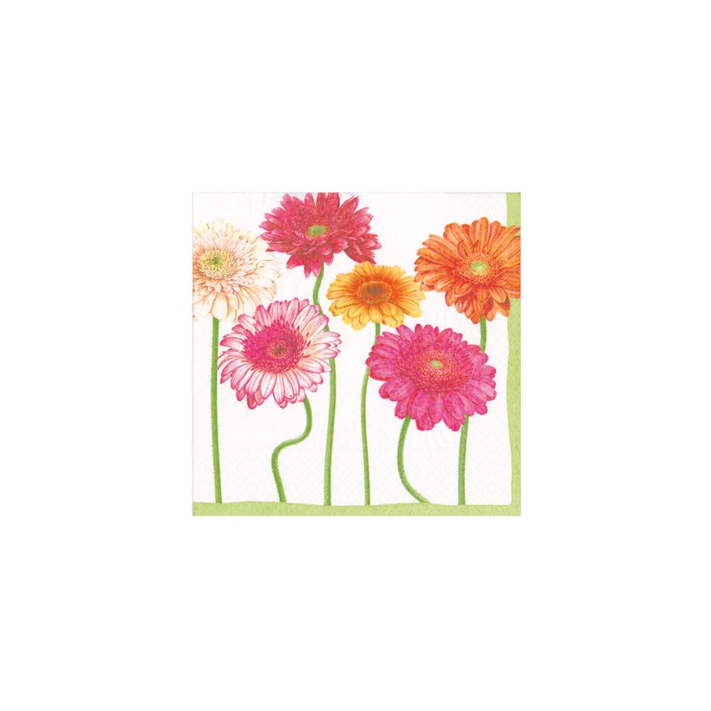 علبة 20 مناديل كوكتيل ورقية بتصميم أزهار اقحوان متفتحة، كاسباري