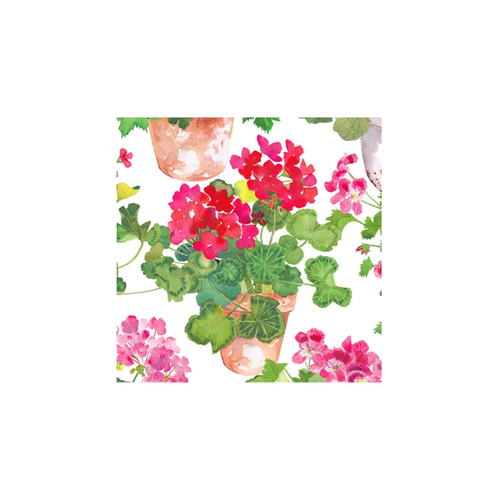 علبة 20 مناديل لانش ورقية بتصميم أزهار جيرانيوم متدلية، كاسباري
