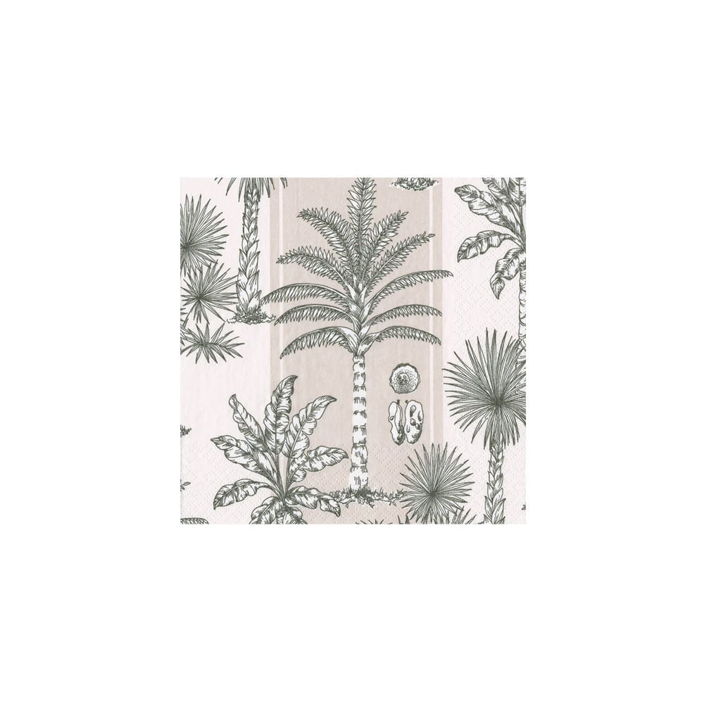 علبة 20 مناديل لانش ورقية بتصميم نخيل ساوثيرن، كاسباري