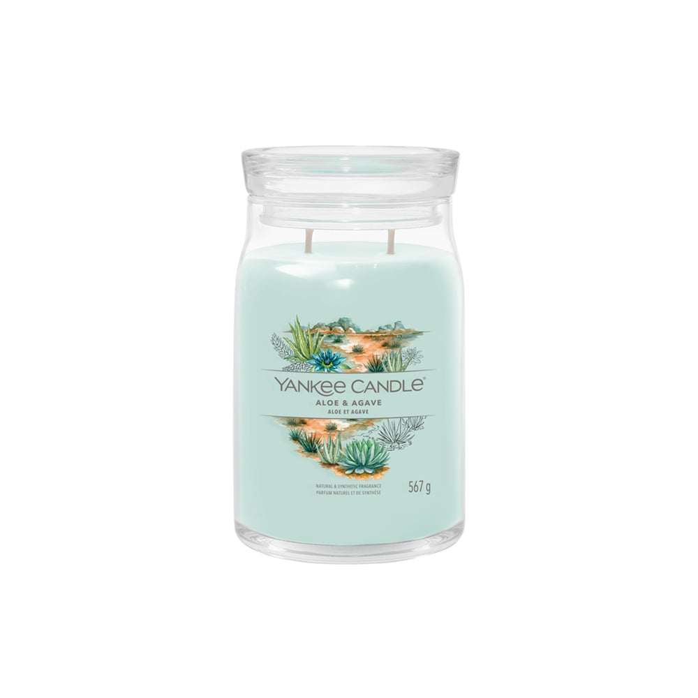 شمعة معطرة برطمان كبير صبار أمريكي، سجنتشر، يانكي كاندل