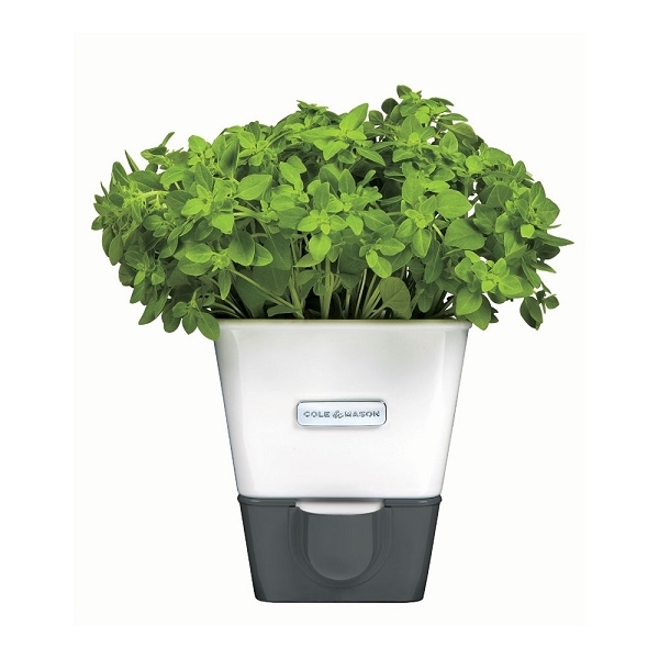 Cole & Mason Self Watering Single Potted Herb Keeper