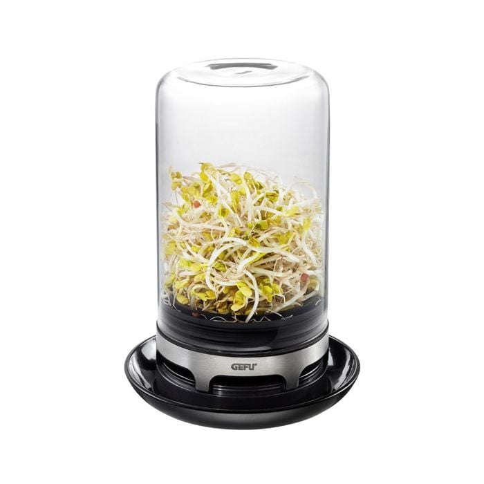 GEFU Sprouting Jar GEFU Sprouting Jar
