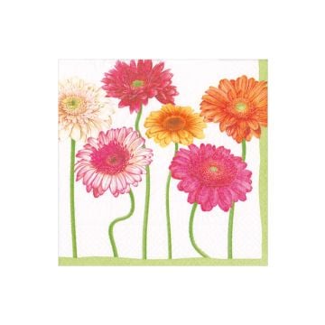 Caspari Blooming Daisy Luncheon Napkins, Set of 20