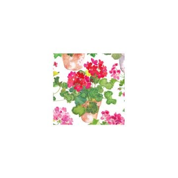Caspari Trailing Geranium Cocktail Napkins, Set of 20