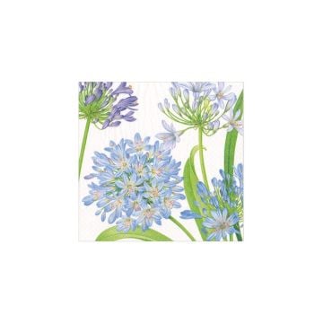 Caspari Agapanthus Garden Paper Cocktail Napkins, Set of 20