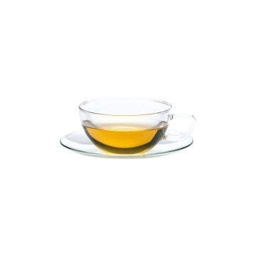 trendglas JENA Opus Glass Teacup and Saucer