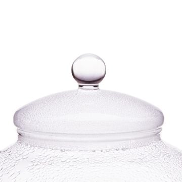 trendglas JENA Glass Lid for Glass Water Kettles