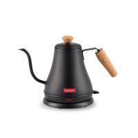 Bodum Melior Gooseneck Electric Kettle, Black