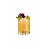Riedel Drink Specific Glassware Double Rocks Glasses, Set of 2