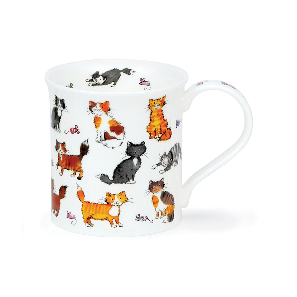 كوب، قطة لطيفة، بيوت، دونون