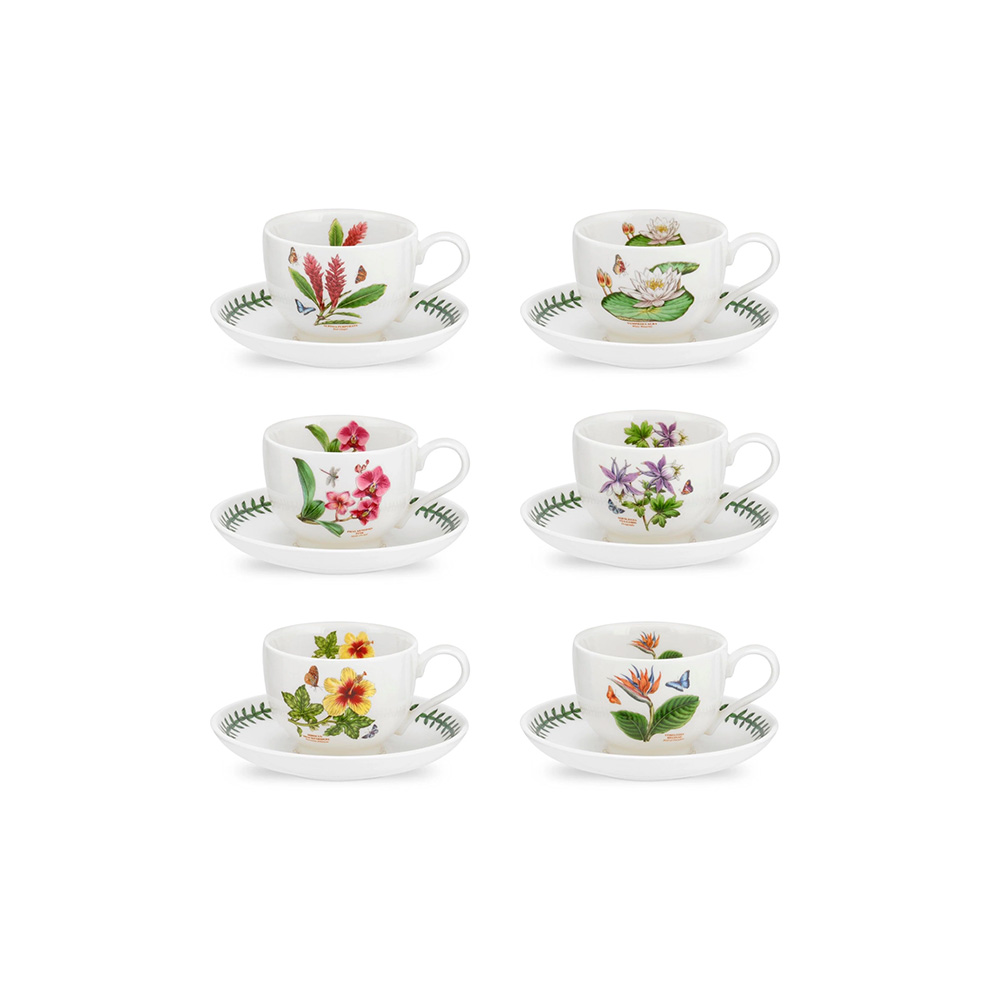 طقم 6 أكواب وأطباق شاي، إكزوتك بوتانيك جاردن، بورتميريون