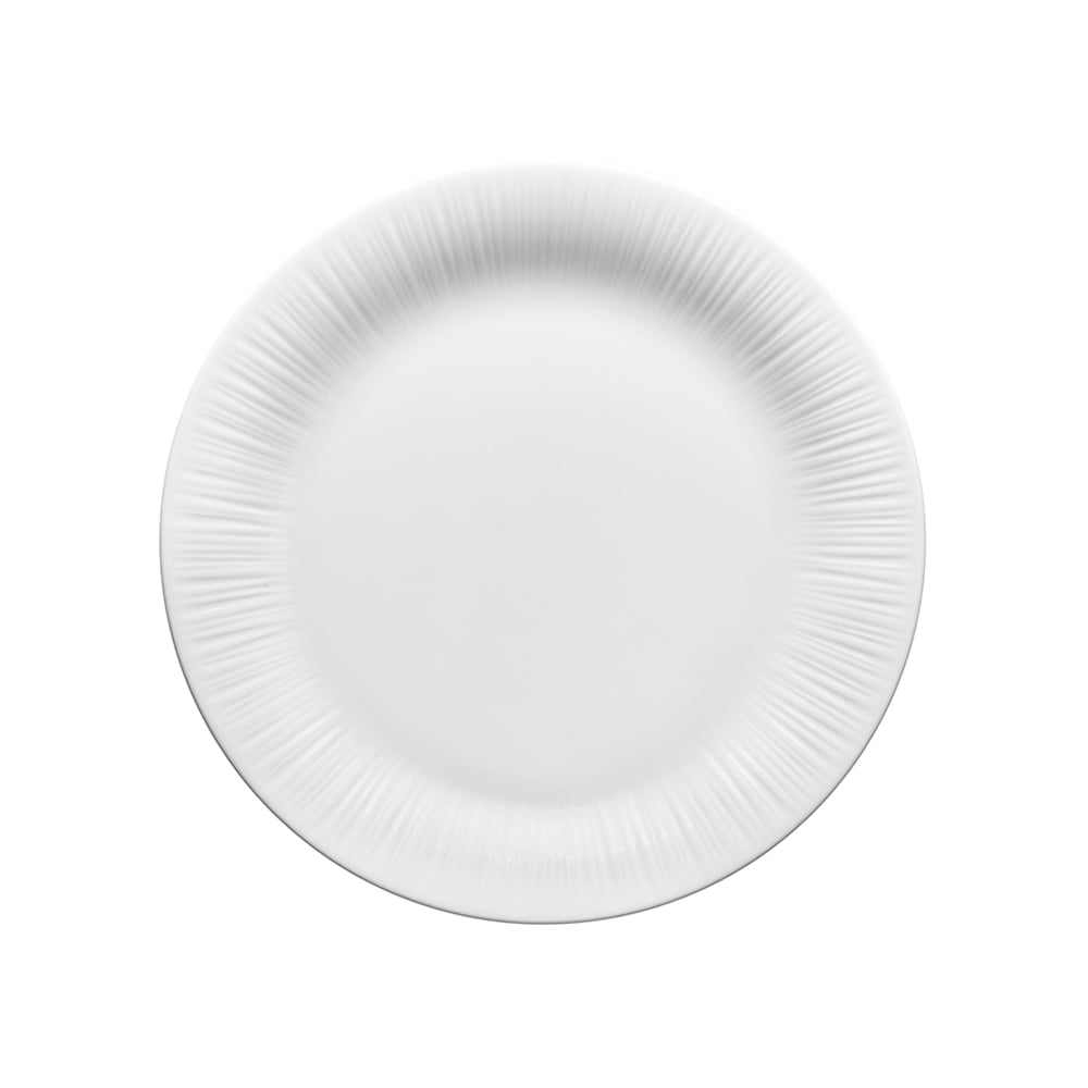 طبق طعام، كونيفير، نوريتاكي