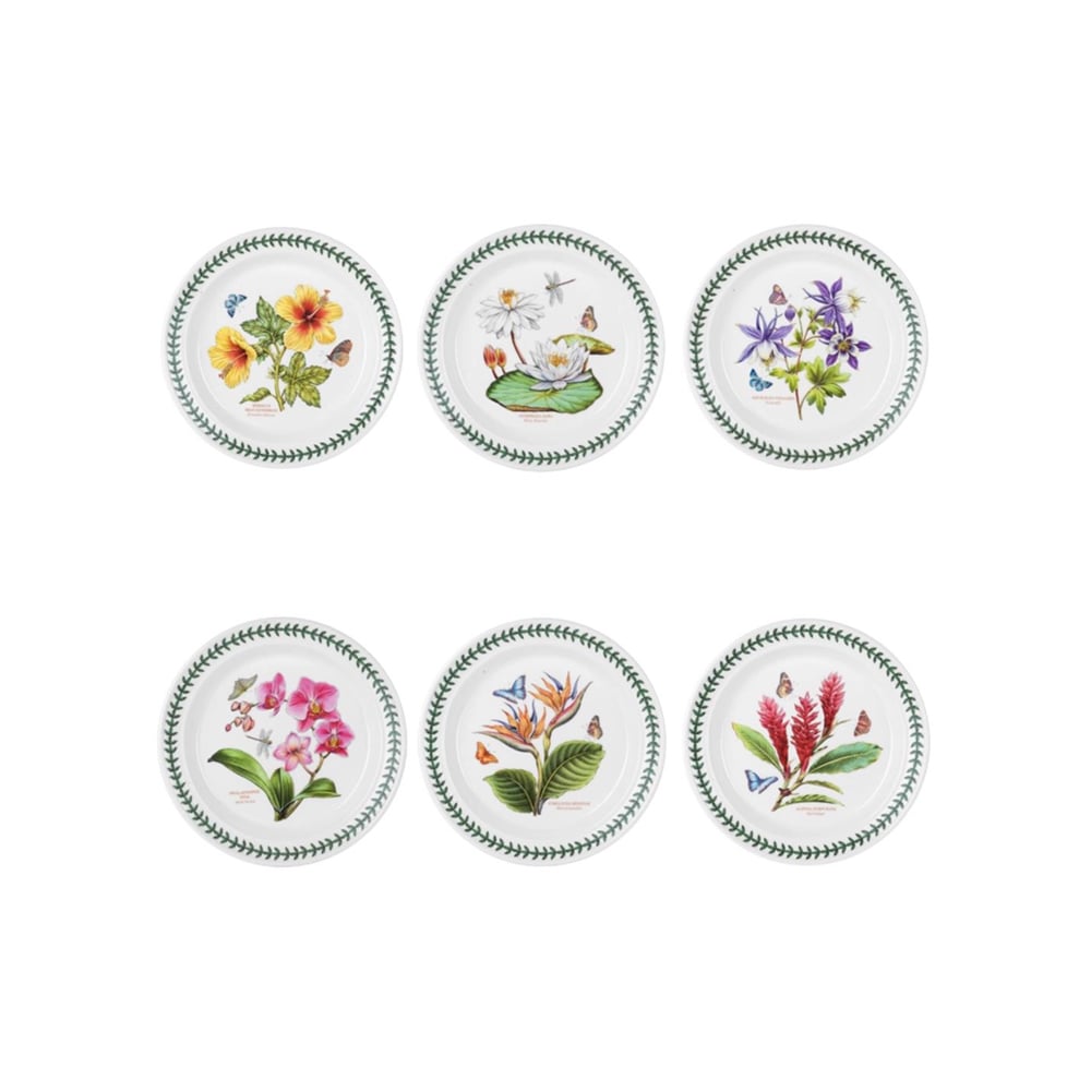 طقم 6 أطباق طعام، إكزوتك بوتانيك جاردن، بورتميريون